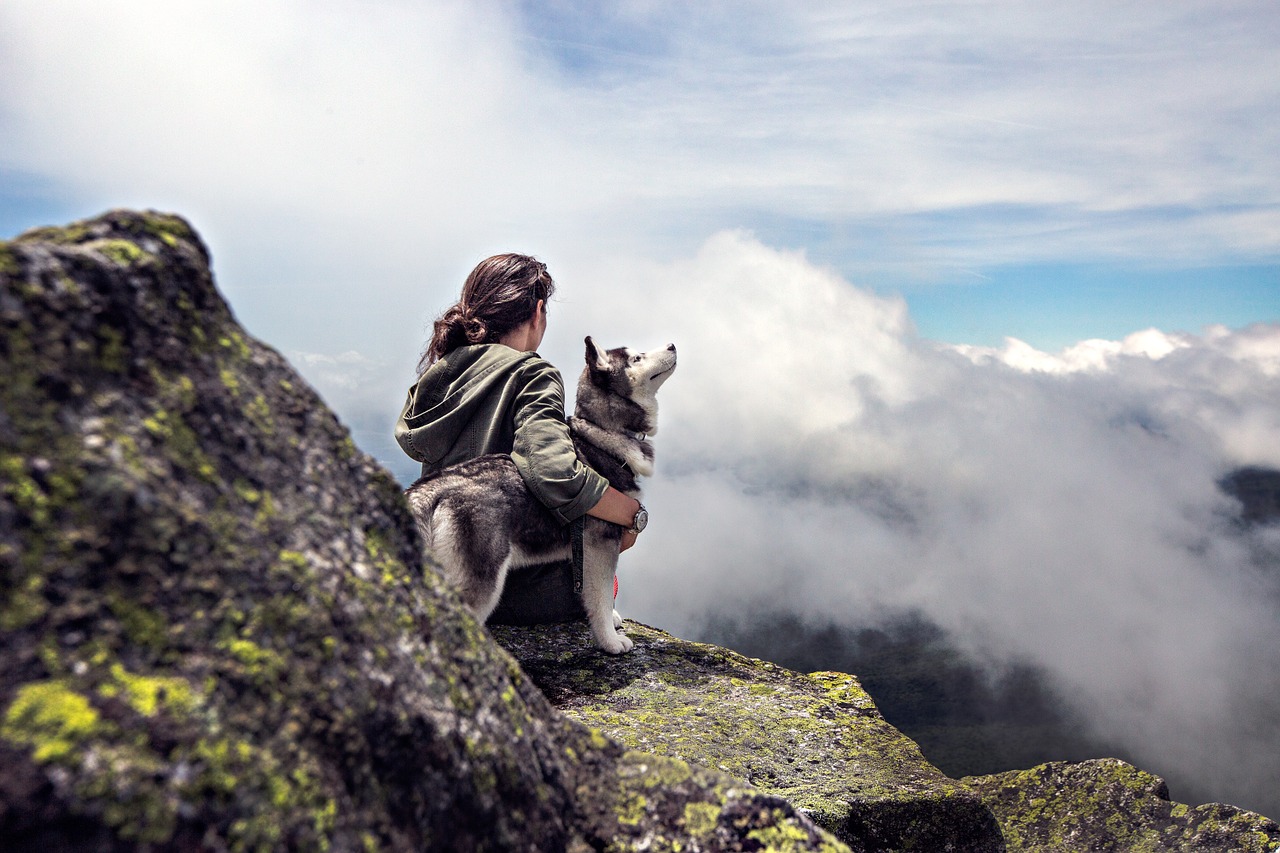 hiking with dogs